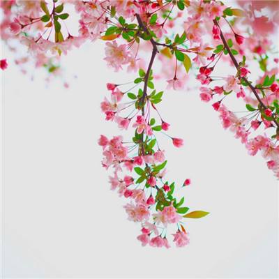 万博最新ManBetX网页版登录